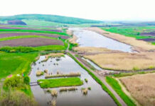 Primaria care a făcut baraj din moloz într-o rezervaţie naturală a fost amendată de Garda de Mediu