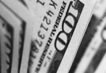 Câți bani trimite anual județul Botoșani la bugetul național?