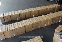 Peste 12.000 de pachete de ţigări de contrabandă capturate de poliţiştii de frontieră la Botoșani