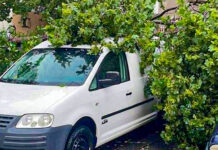 Un echipaj de jandarmi care se întorcea din misiune a îndepărtat un copac rupt de furtună şi căzut pe şosea, într-o comună din Botoșani (video)