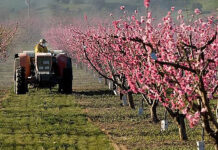 Cum va fi următoarea săptămână pentru agricultură? Specialiștii anunță secetă în Dobrogea, pe suprafeţe extinse din Moldova şi în unele zone din Muntenia şi Banat