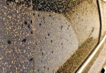 Particule de praf saharian vor traversa România în perioada 14 – 18 aprilie